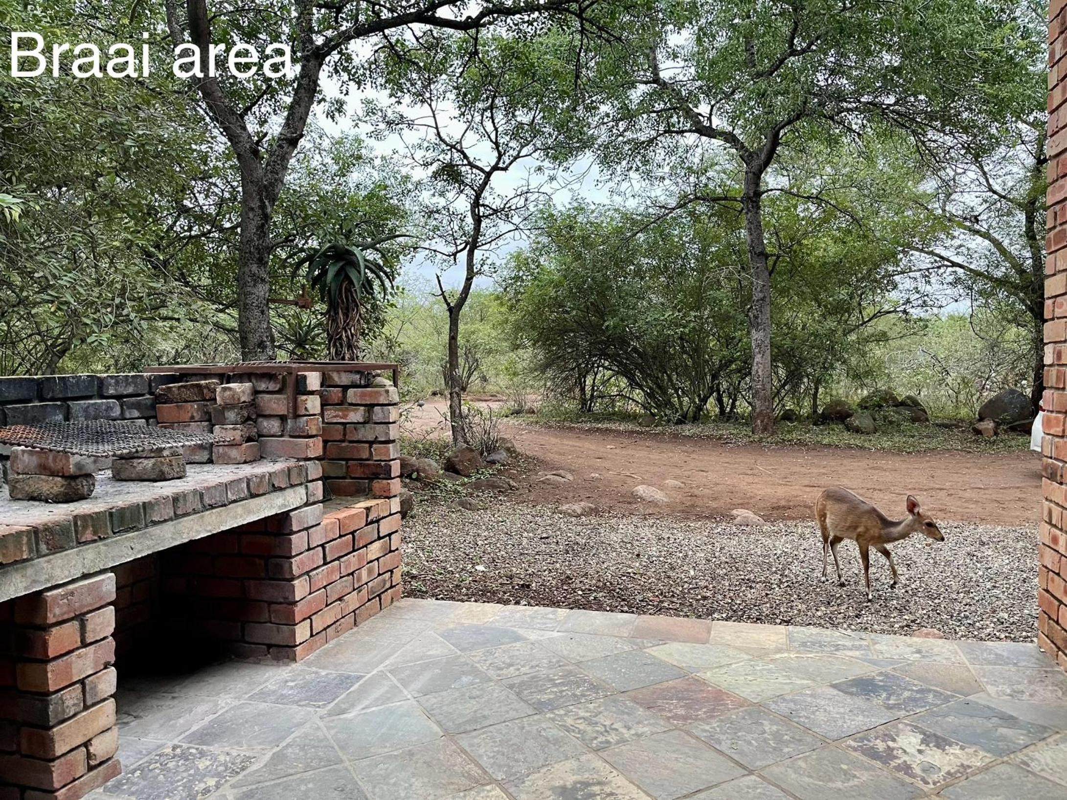 Soenie Kruger Safari