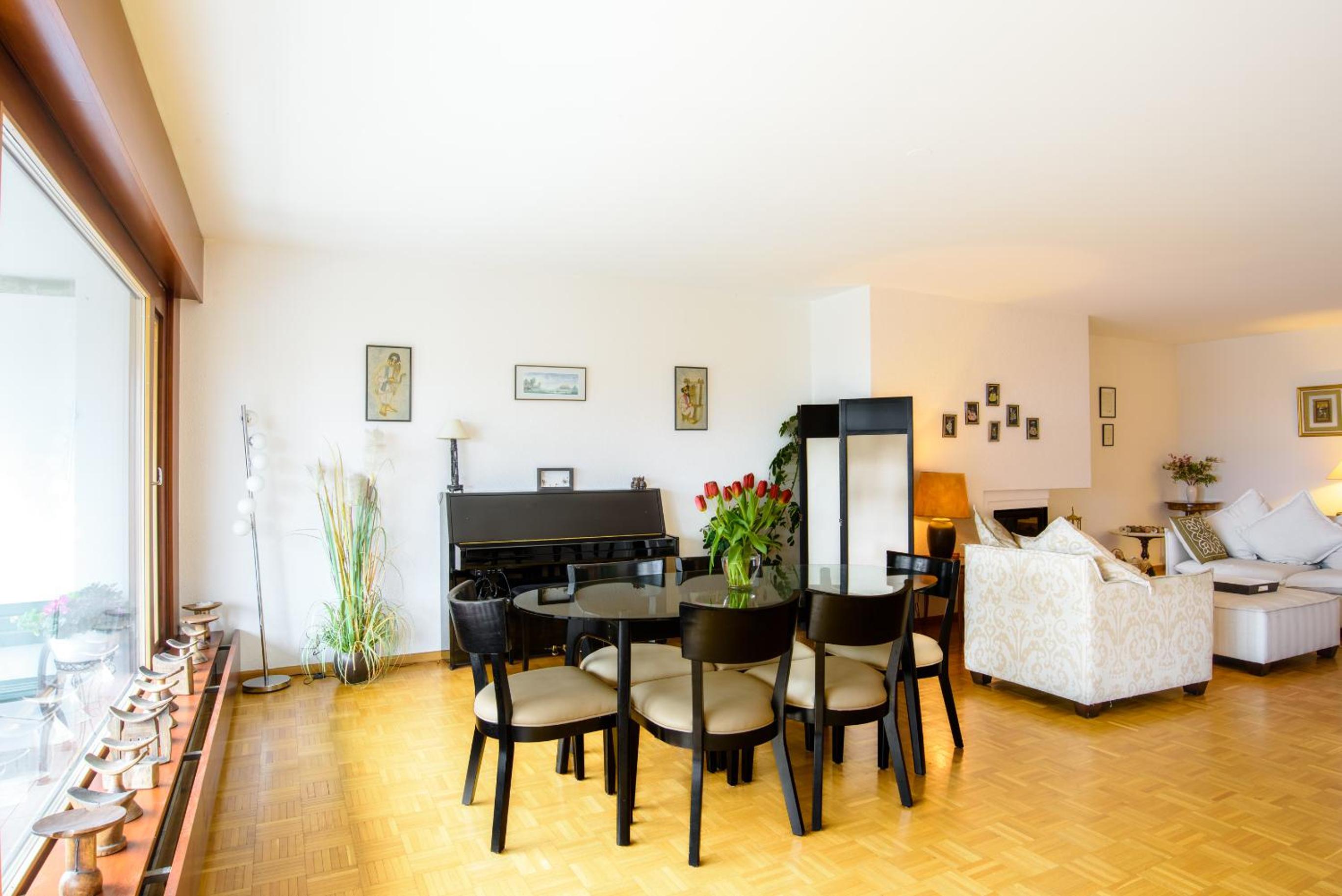 Geneva Vacations - Tourelle 2 - Spacieux appartement dans le centre de Geneve - Property Image 15