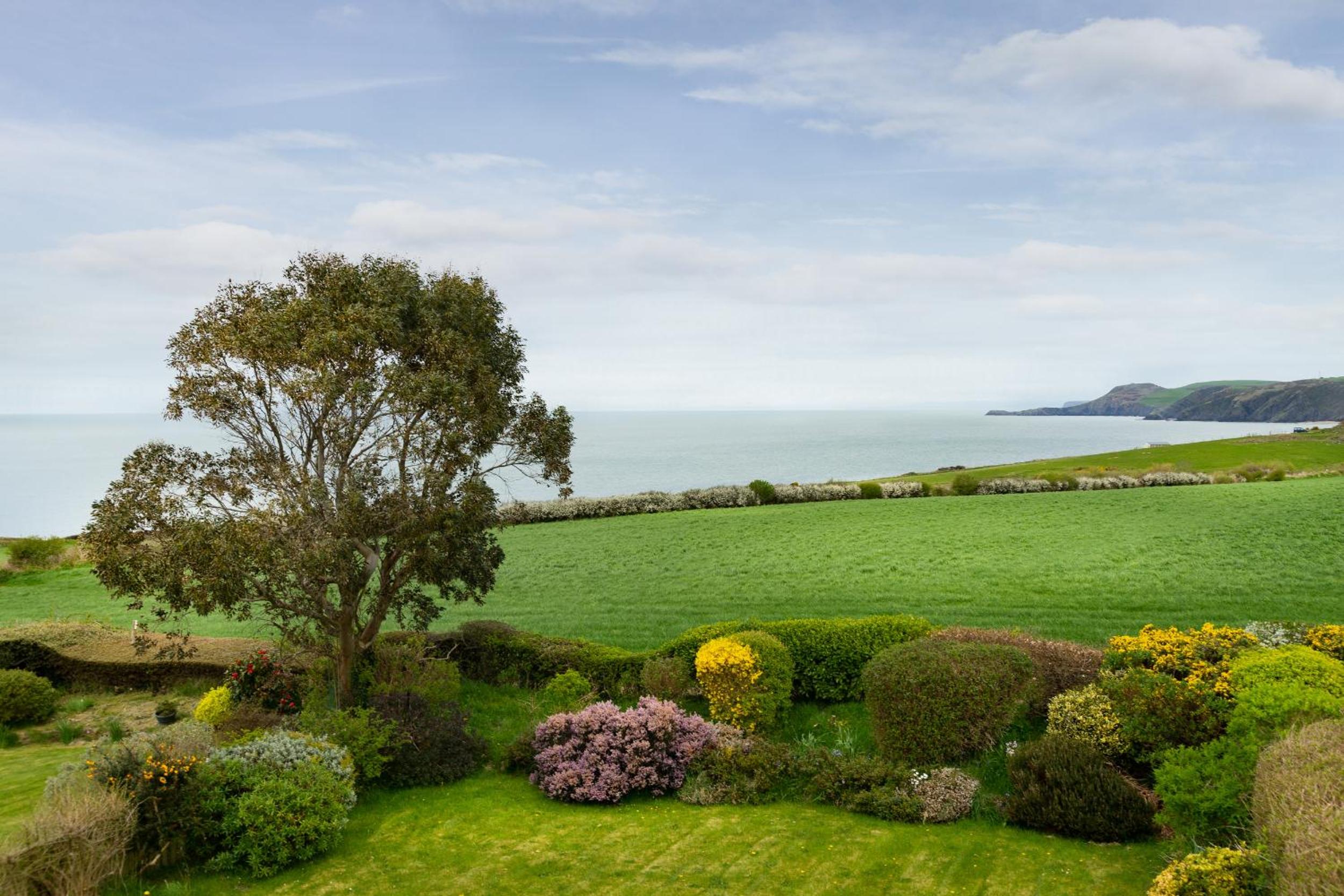 Safe Haven Aberporth