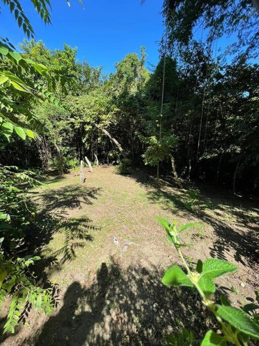 Mágica cabaña en medio del bosque en Isla Venado