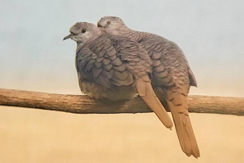 Mágica cabaña en medio del bosque en Isla Venado