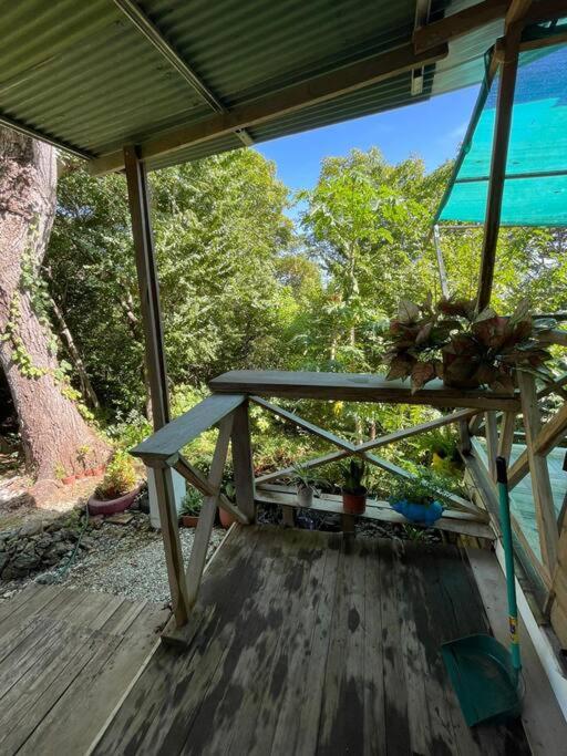 Mágica cabaña en medio del bosque en Isla Venado
