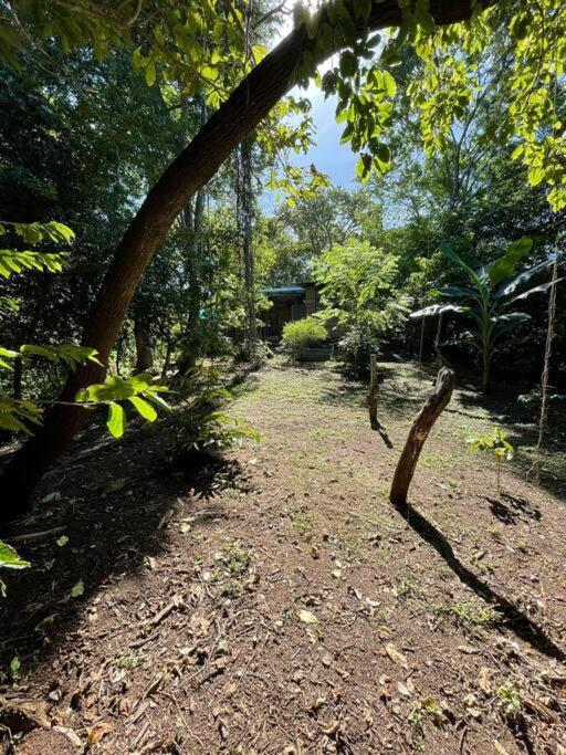 Mágica cabaña en medio del bosque en Isla Venado