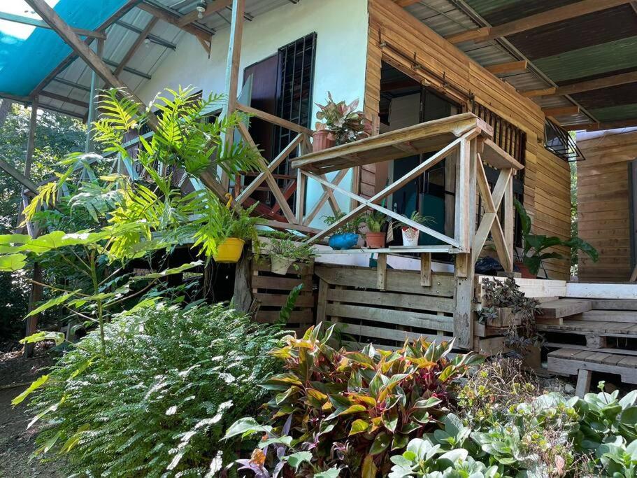 Mágica cabaña en medio del bosque en Isla Venado