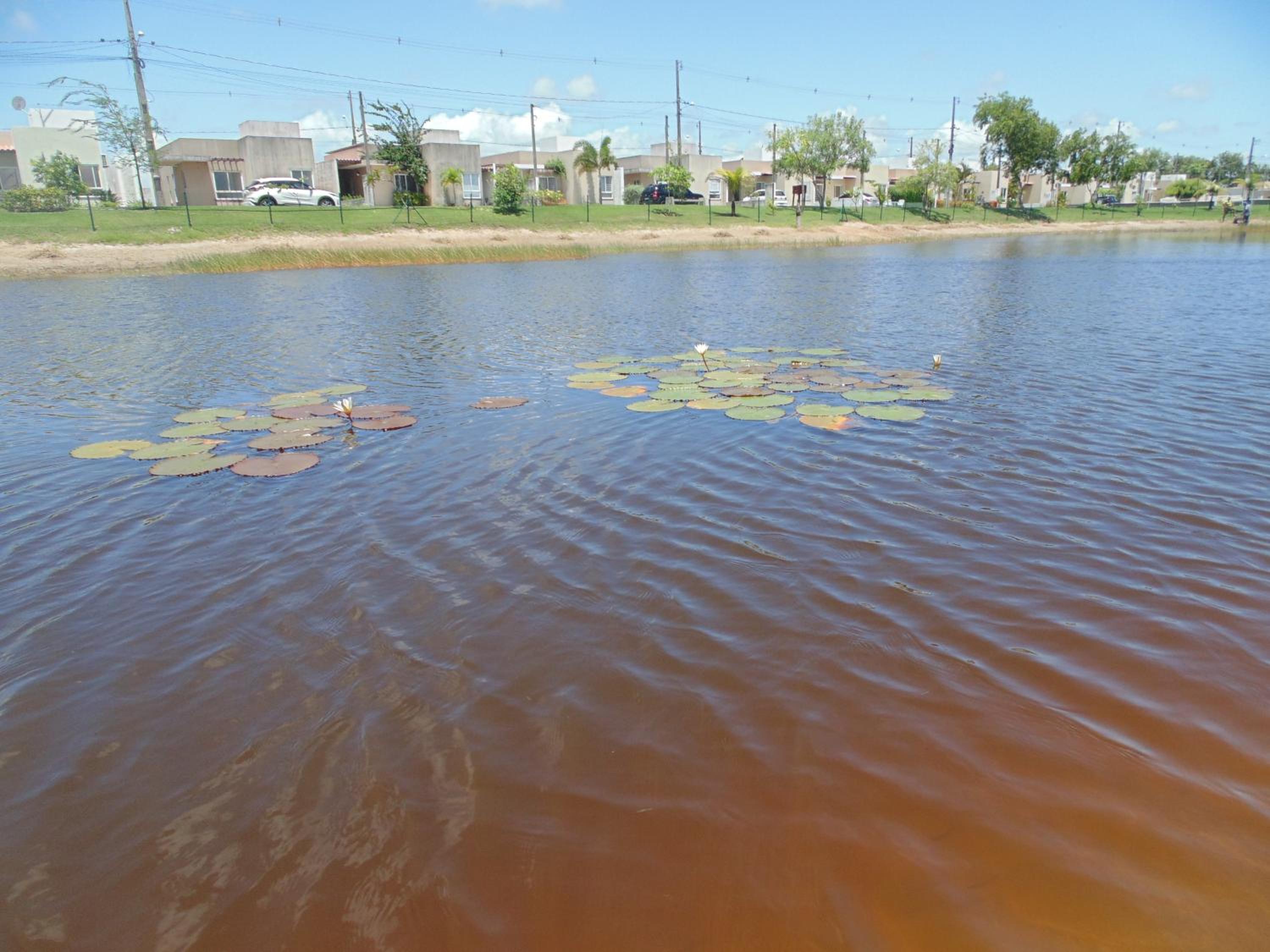 Linda Casa com Piscina em Condomínio Fechado na Praia do Francês