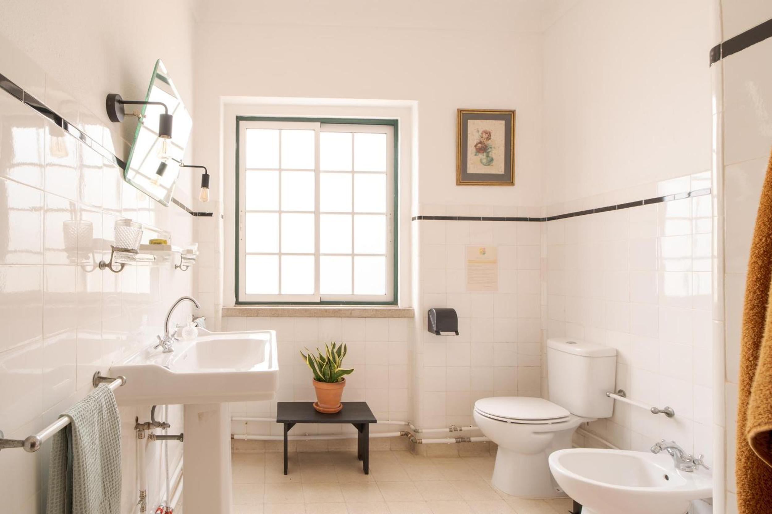 Manas Slowliving - Sines