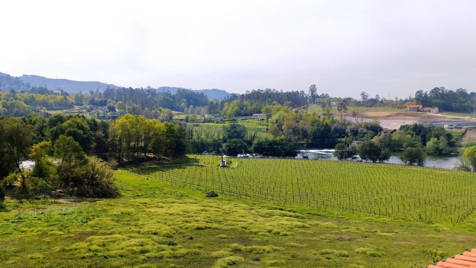 Quinta do Burgo - Nature Hotel view 4