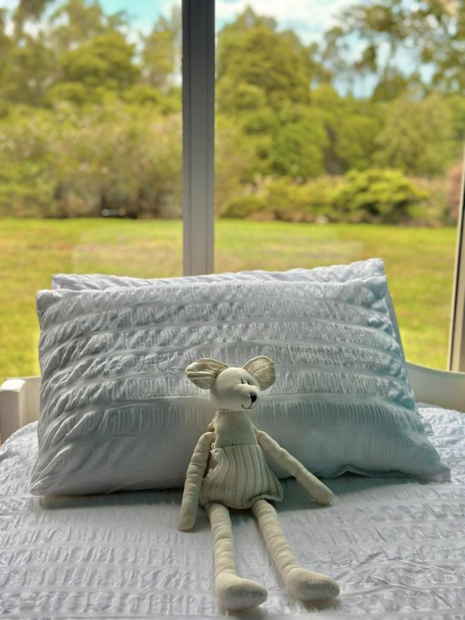 Kahmahnee - Apollo Bay dog friendly retreat - Property Image 8