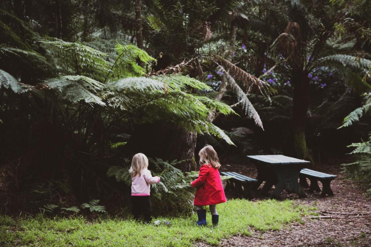 Sandy Retreat at Apollo Bay