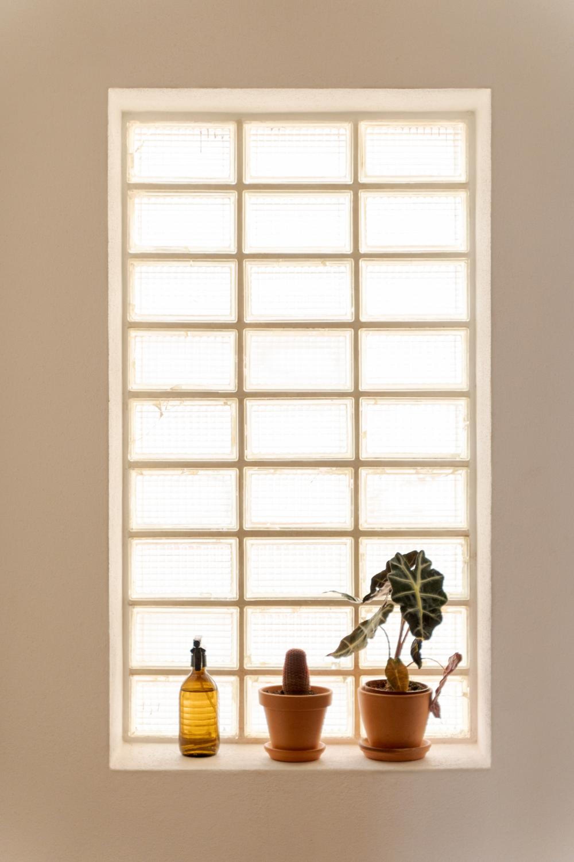 Manas Slowliving - Sines
