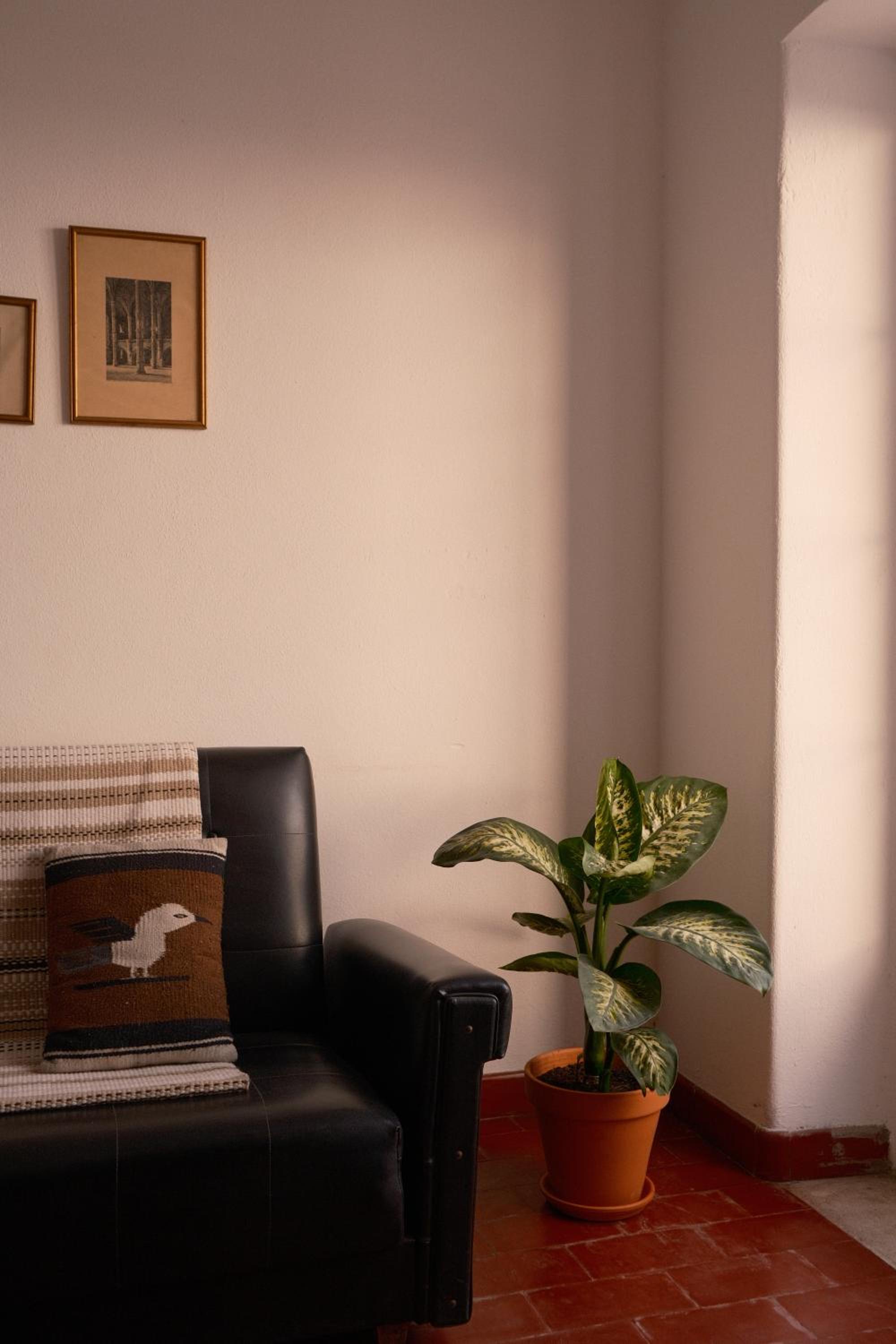 Manas Slowliving - Sines