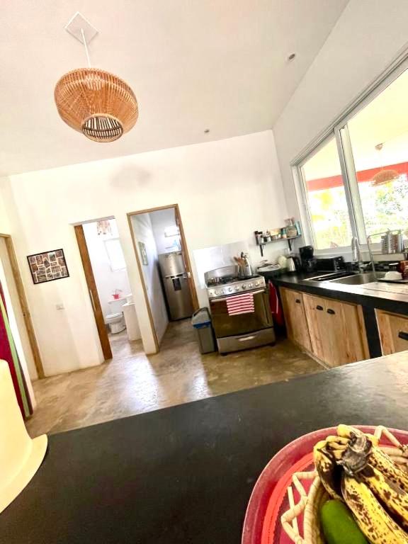 Casa Michou y Bigote