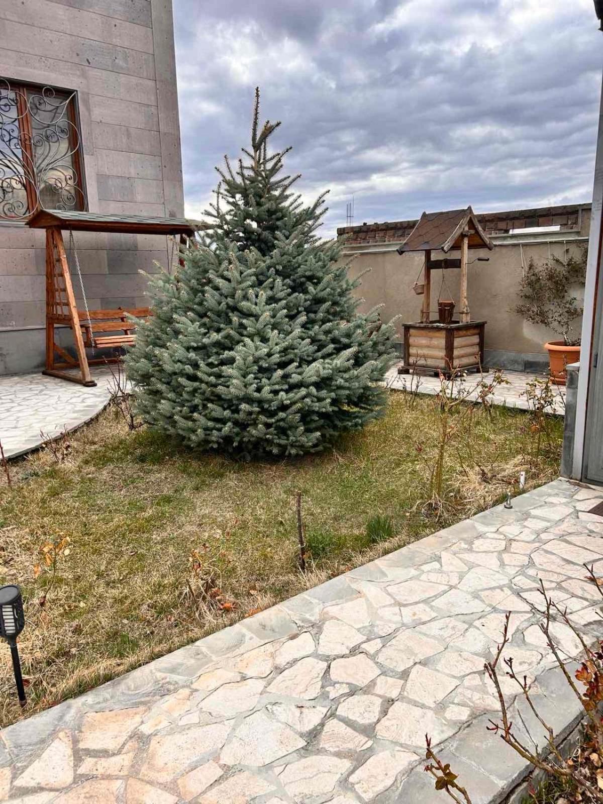 David's villa