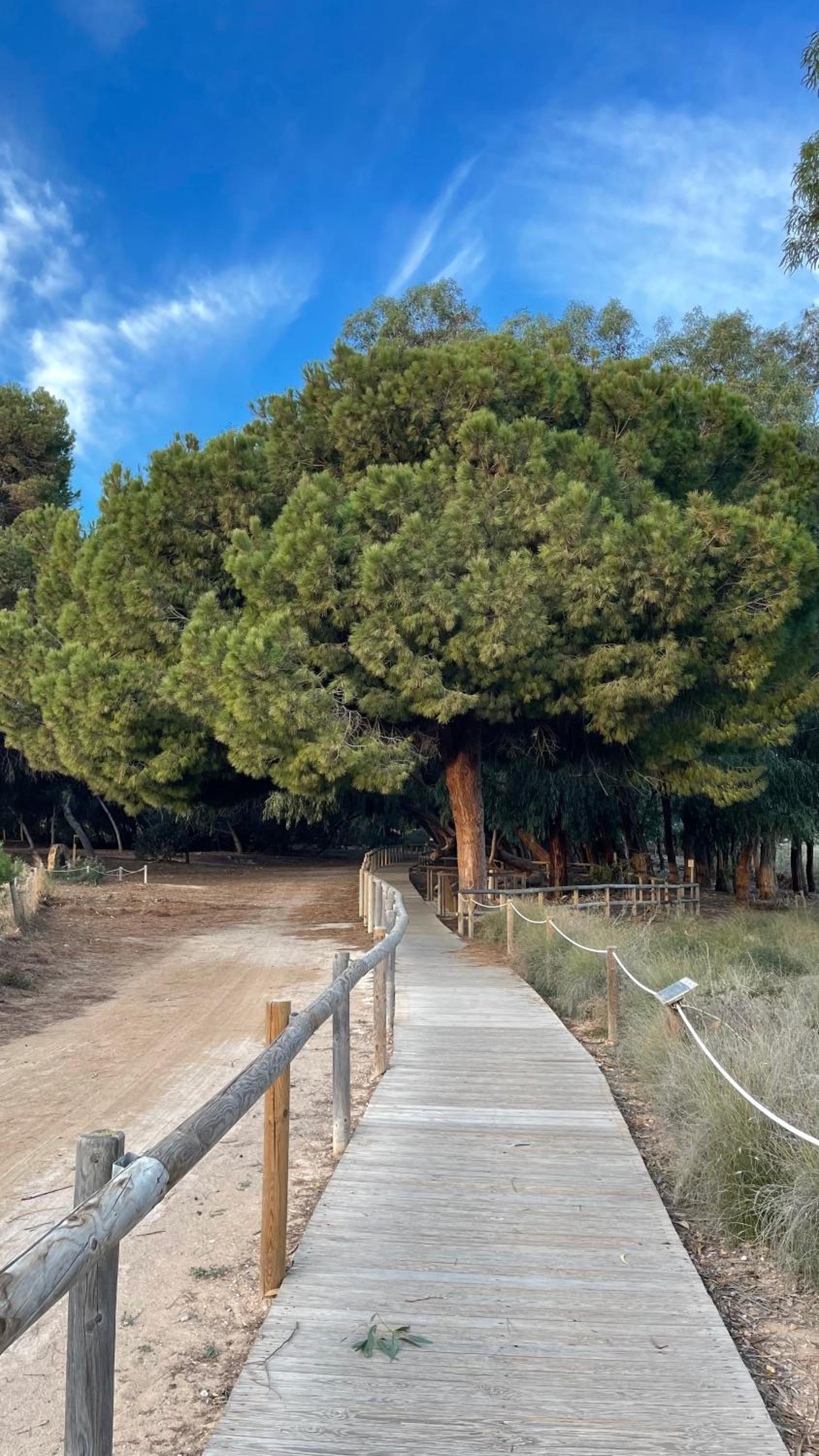 Casa De La Luna Torrevieja