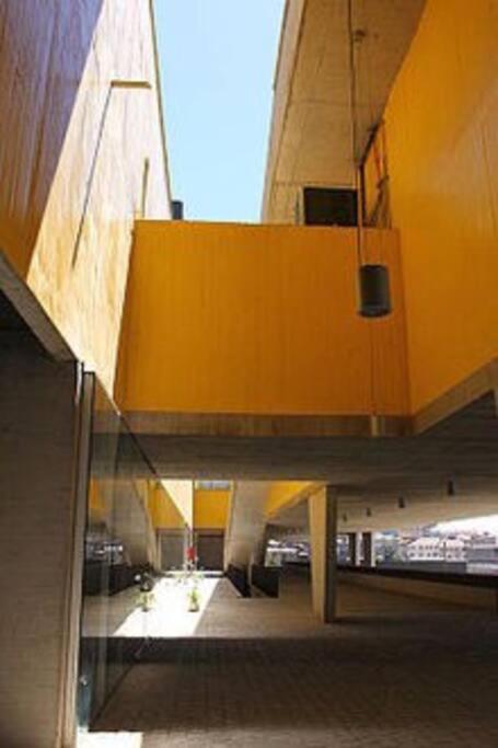 Patrimonial redesigned luminous loft for couples