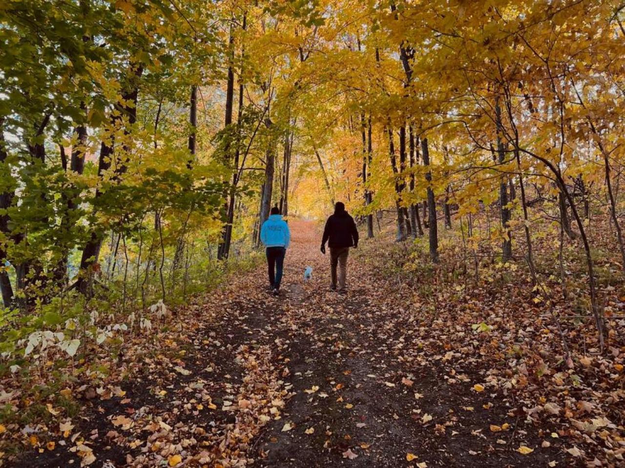 Studio Cottage Lake and Beach - Property Image 10