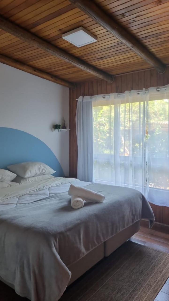 The Search House