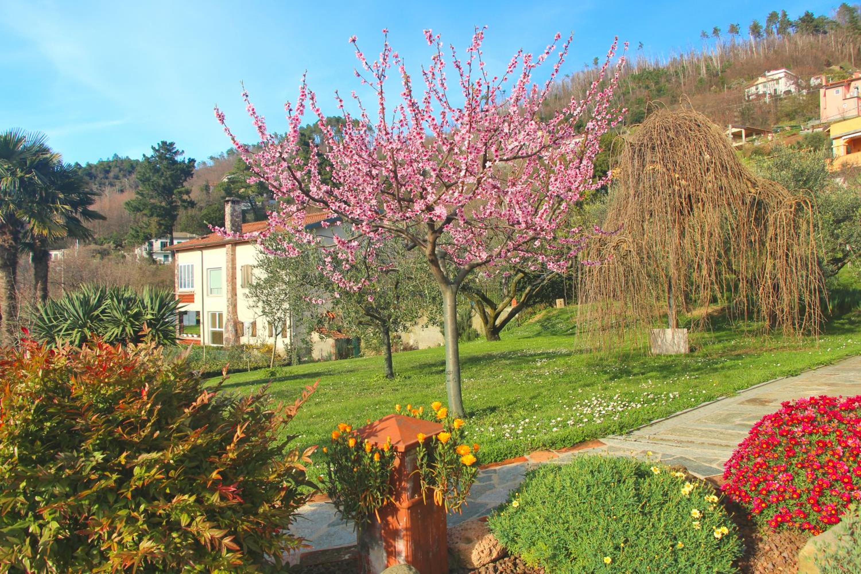 Photo 43