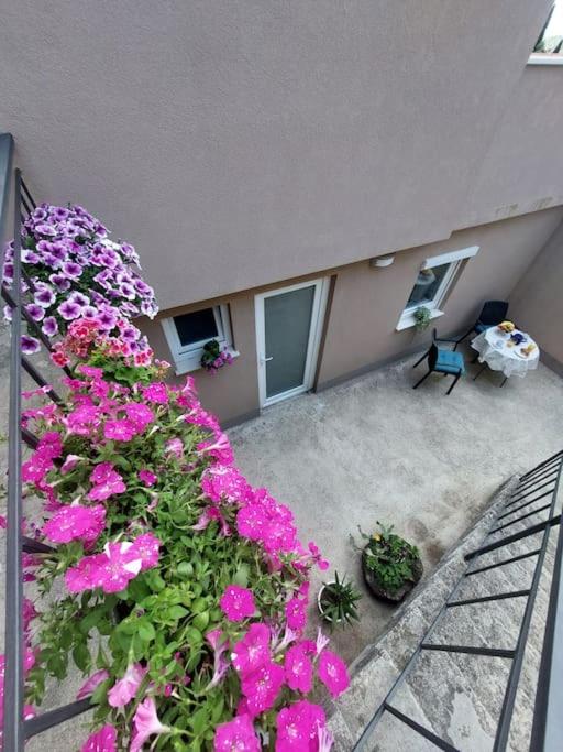 Vita