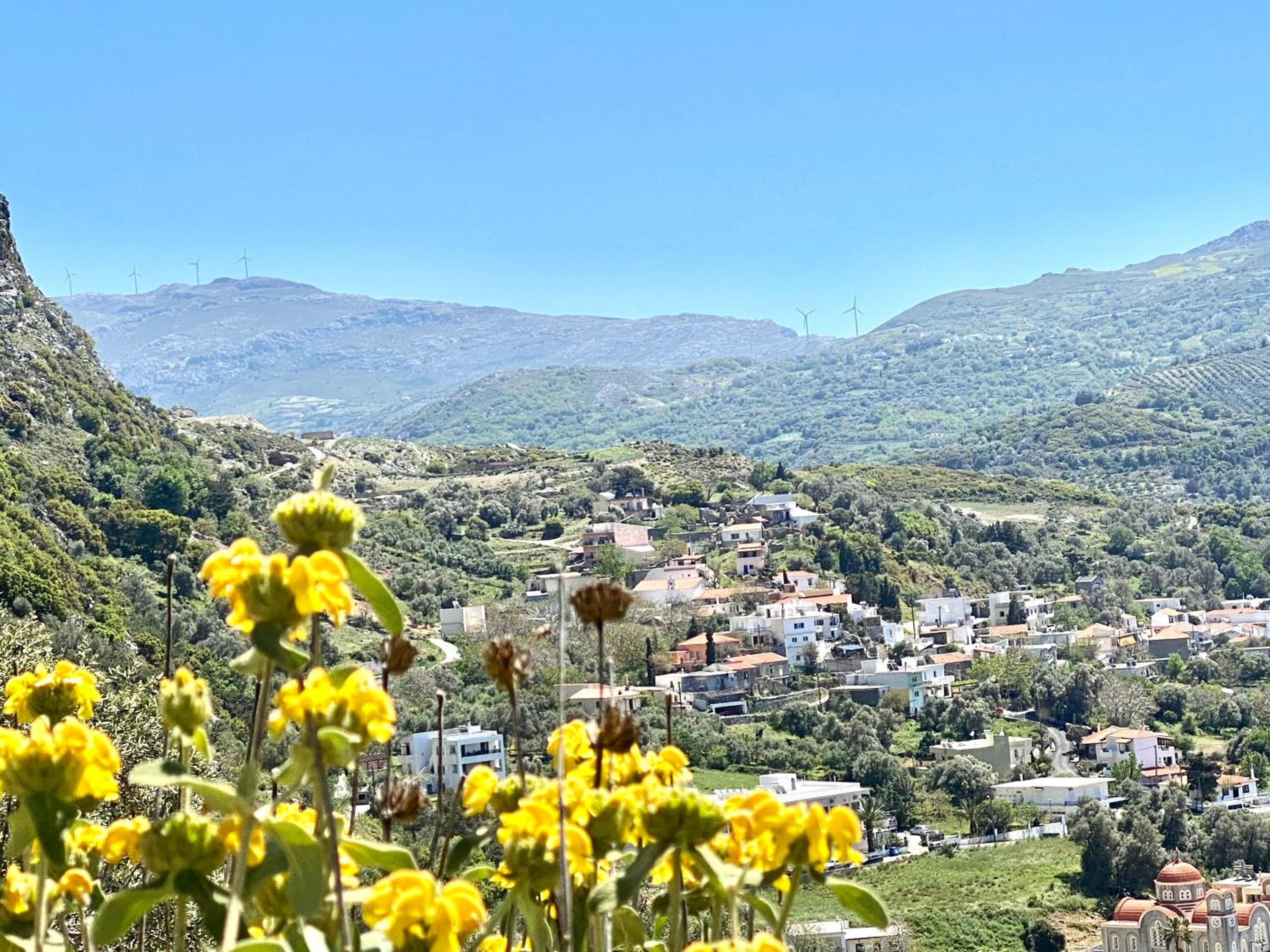 Costas Inn