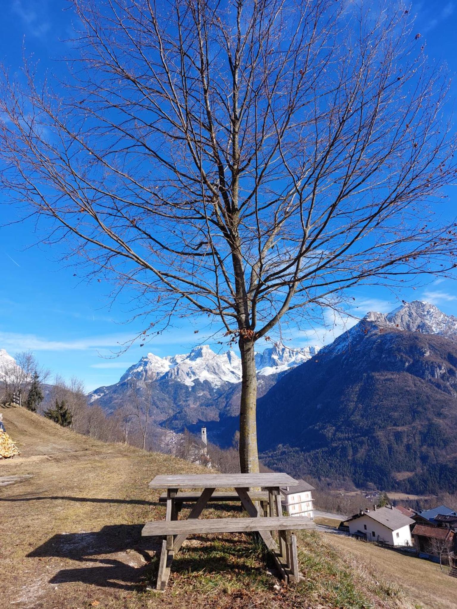 LA POESIA DOLOMITI APARTMENTS