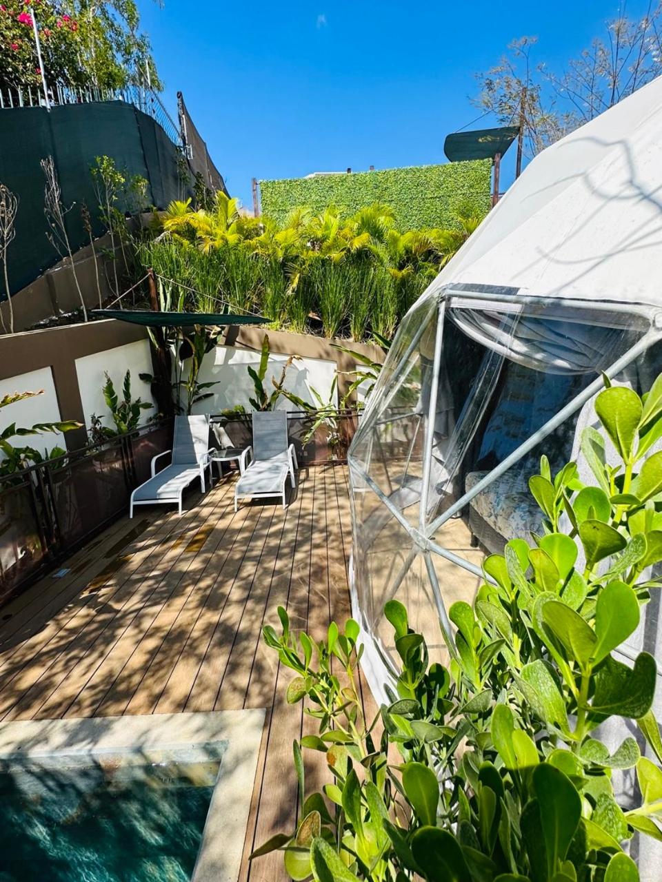 Glamping Tortuga Verde