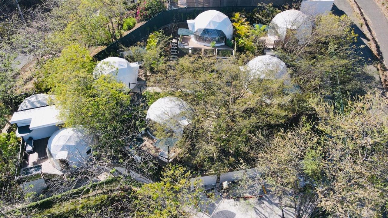 Glamping Tortuga Verde