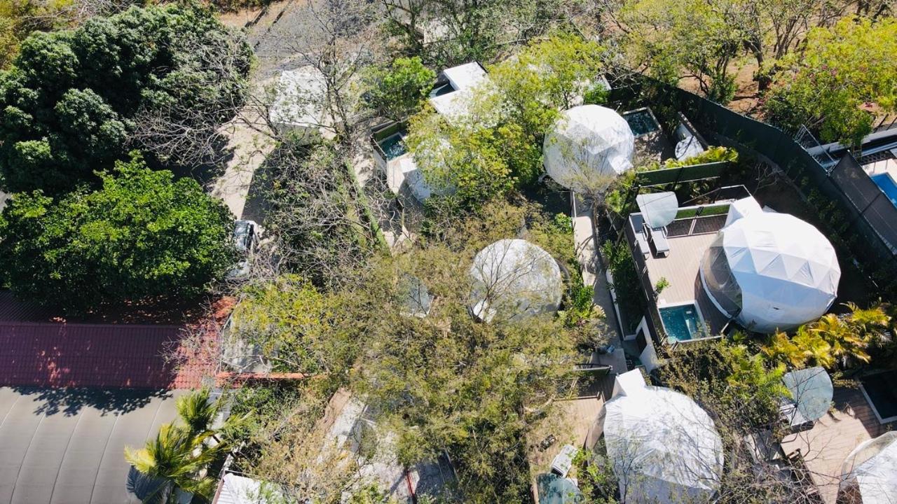 Glamping Tortuga Verde