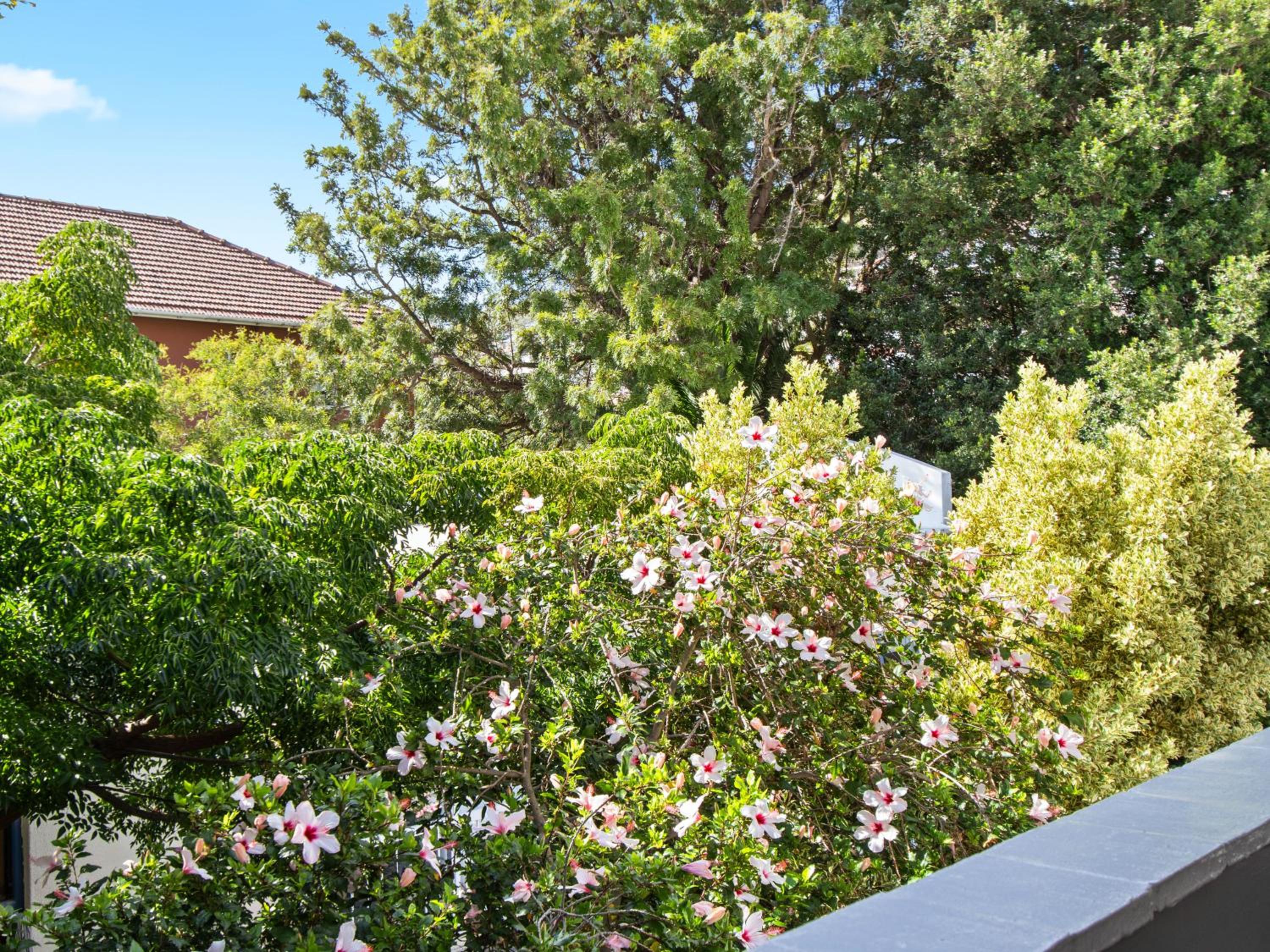 Fairmile Urban Oasis