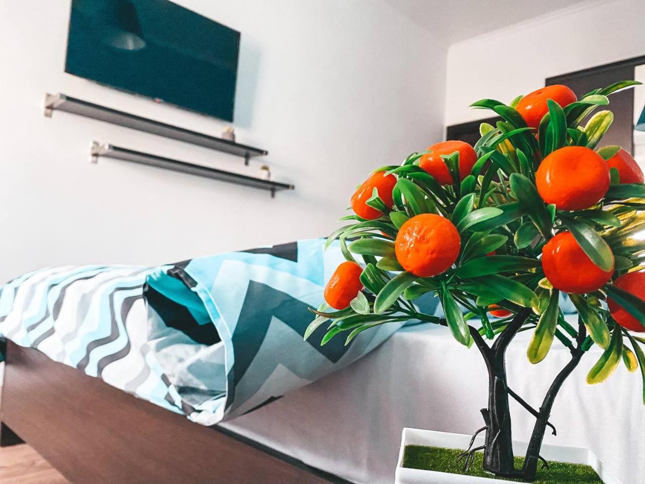 City Center Apartment