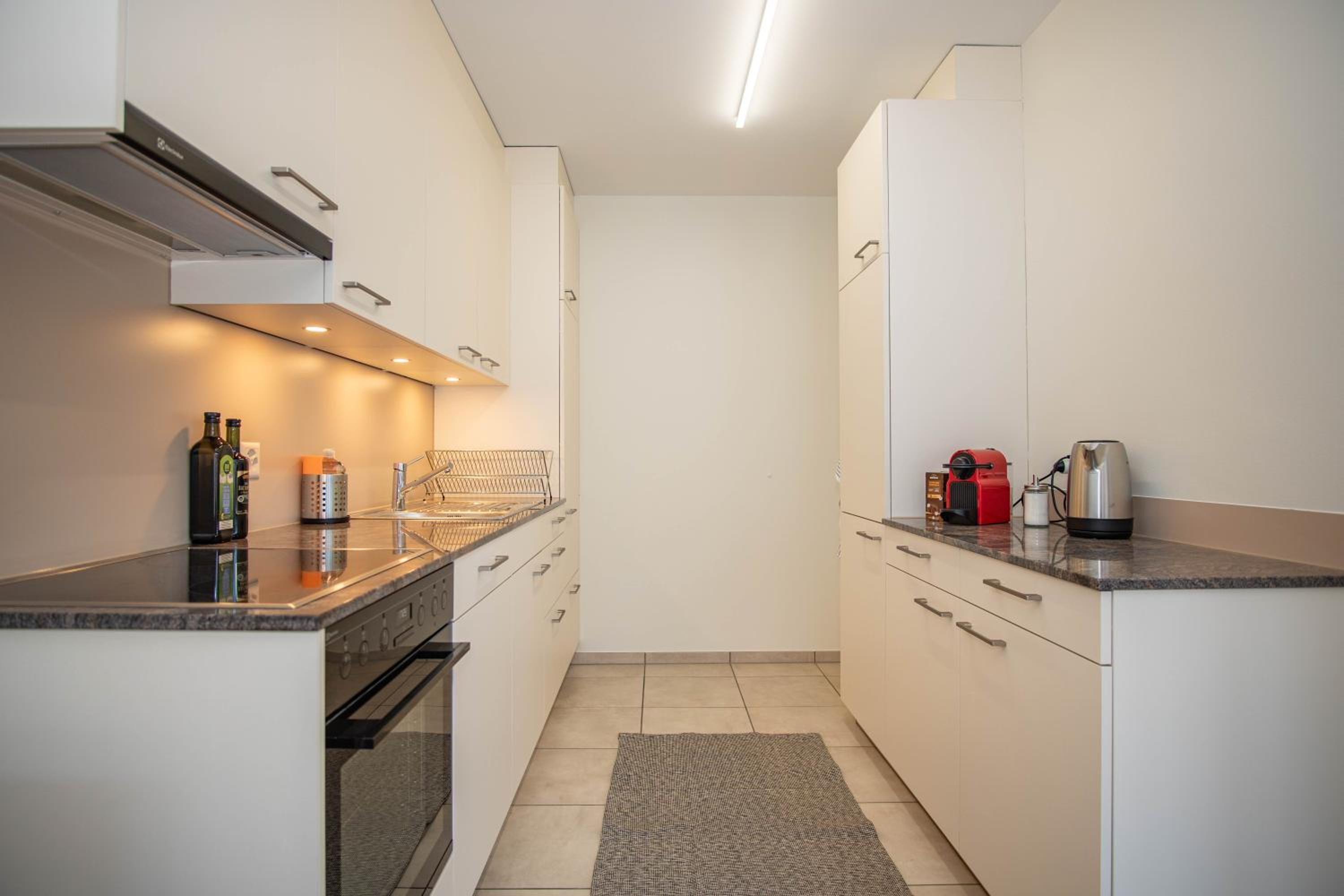 Apartment next to Rhine with free BaselCard