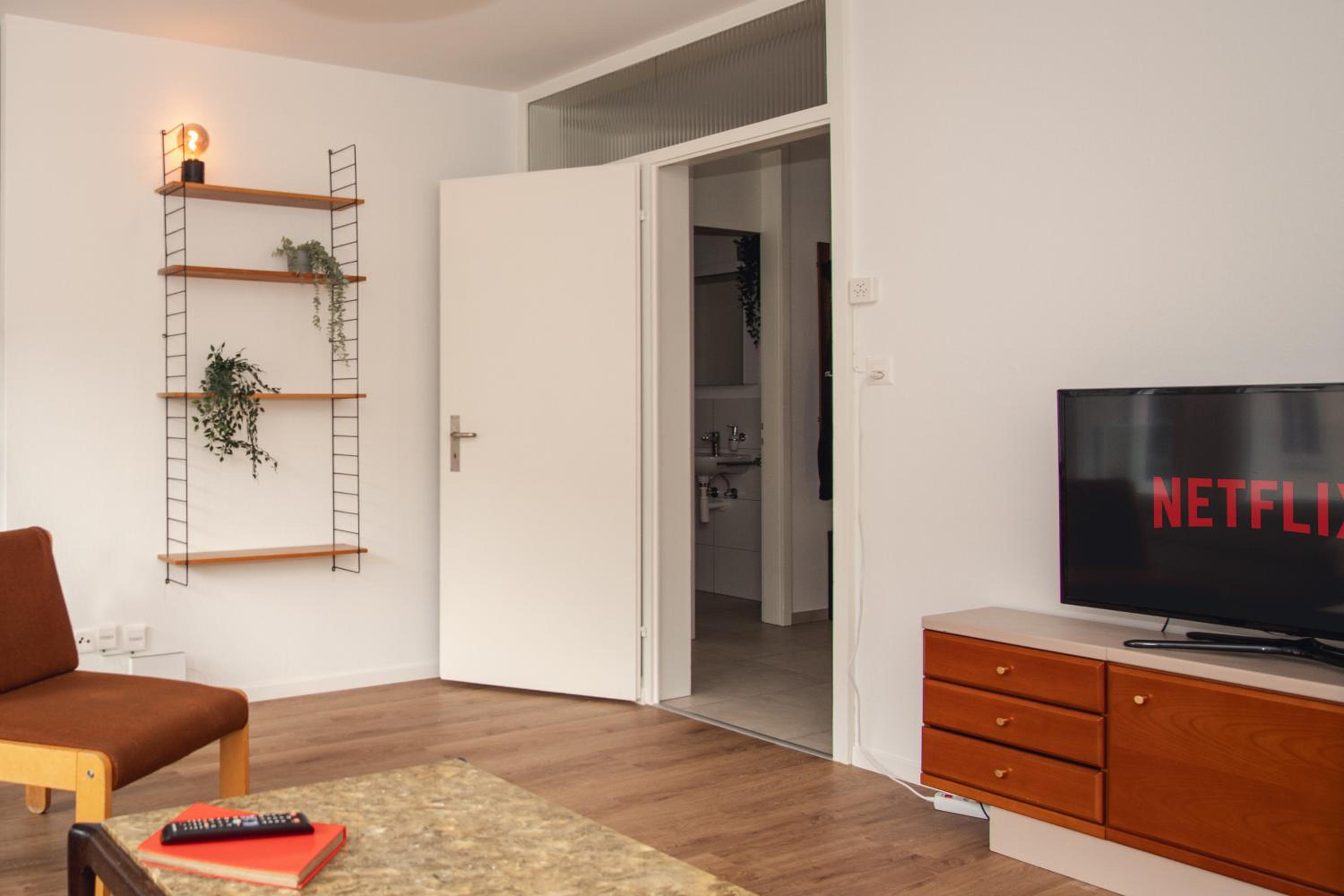 Spacious apartment next to Rhine
