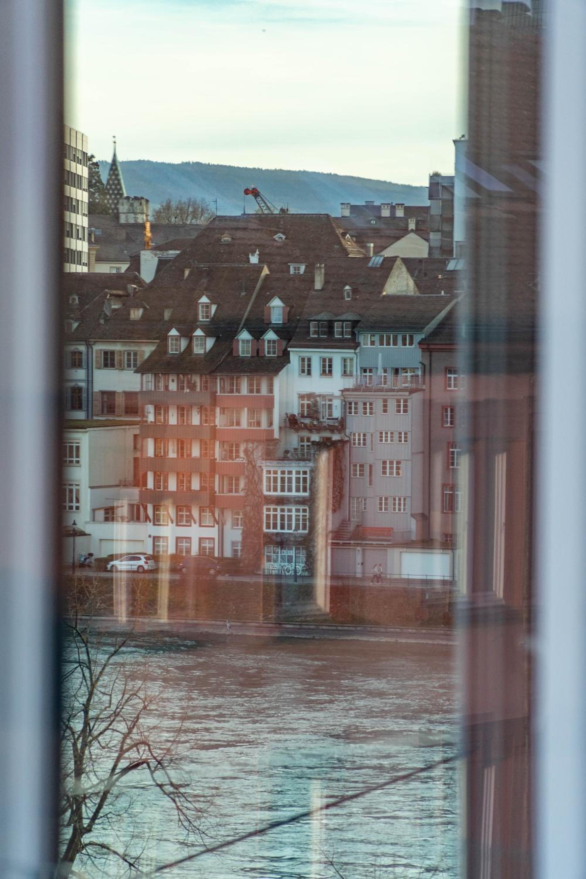 Spacious apartment next to Rhine