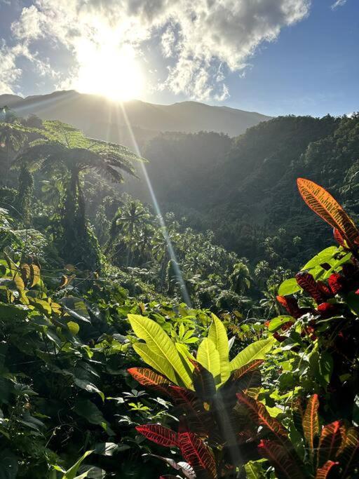 Green Fiji Plantation Villa in Taveuni
