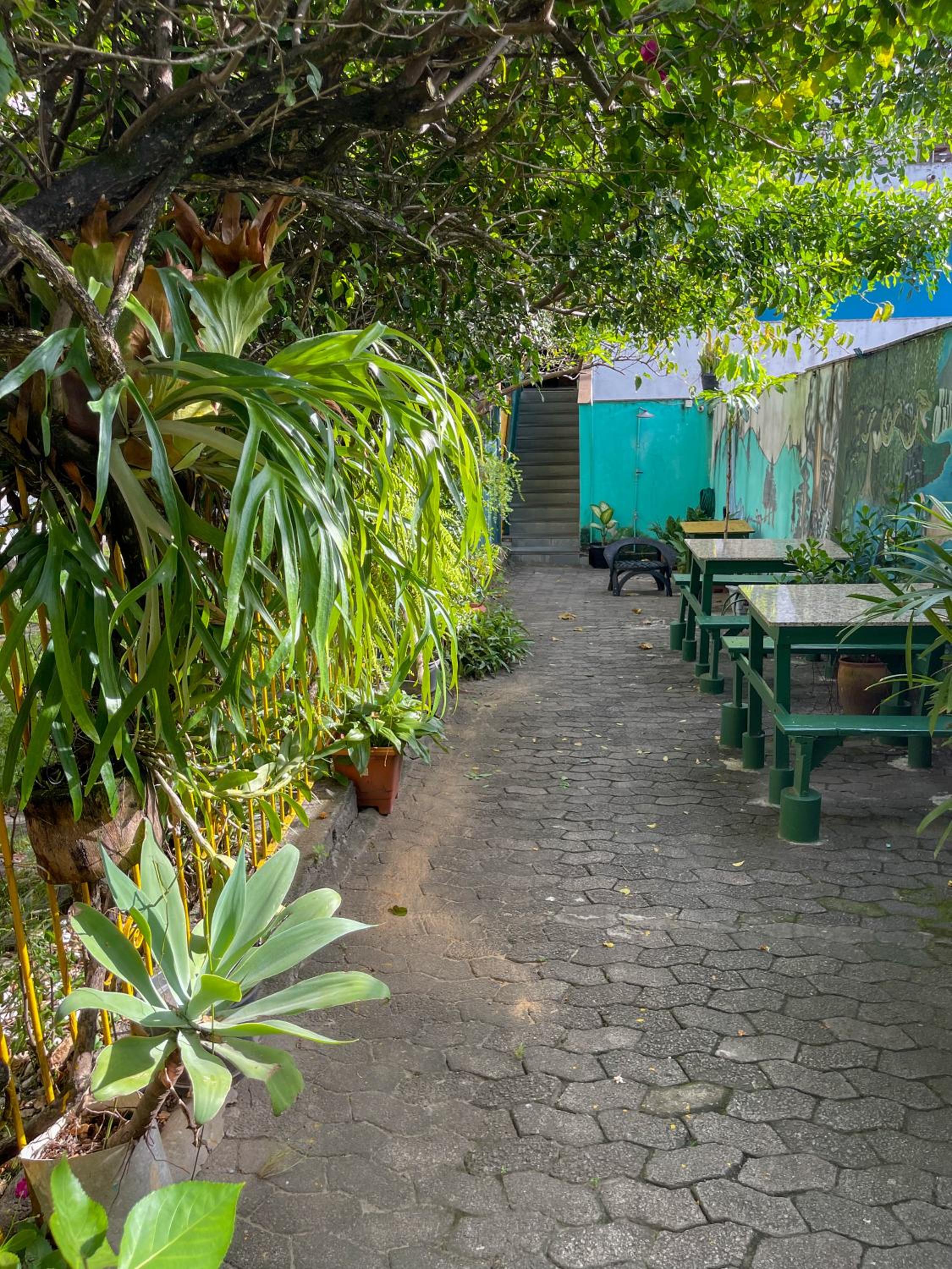 Onça da Praia Hostel