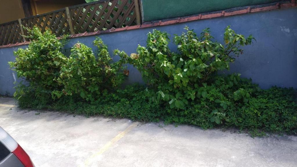 Encanto Mada´s Itamambuca
