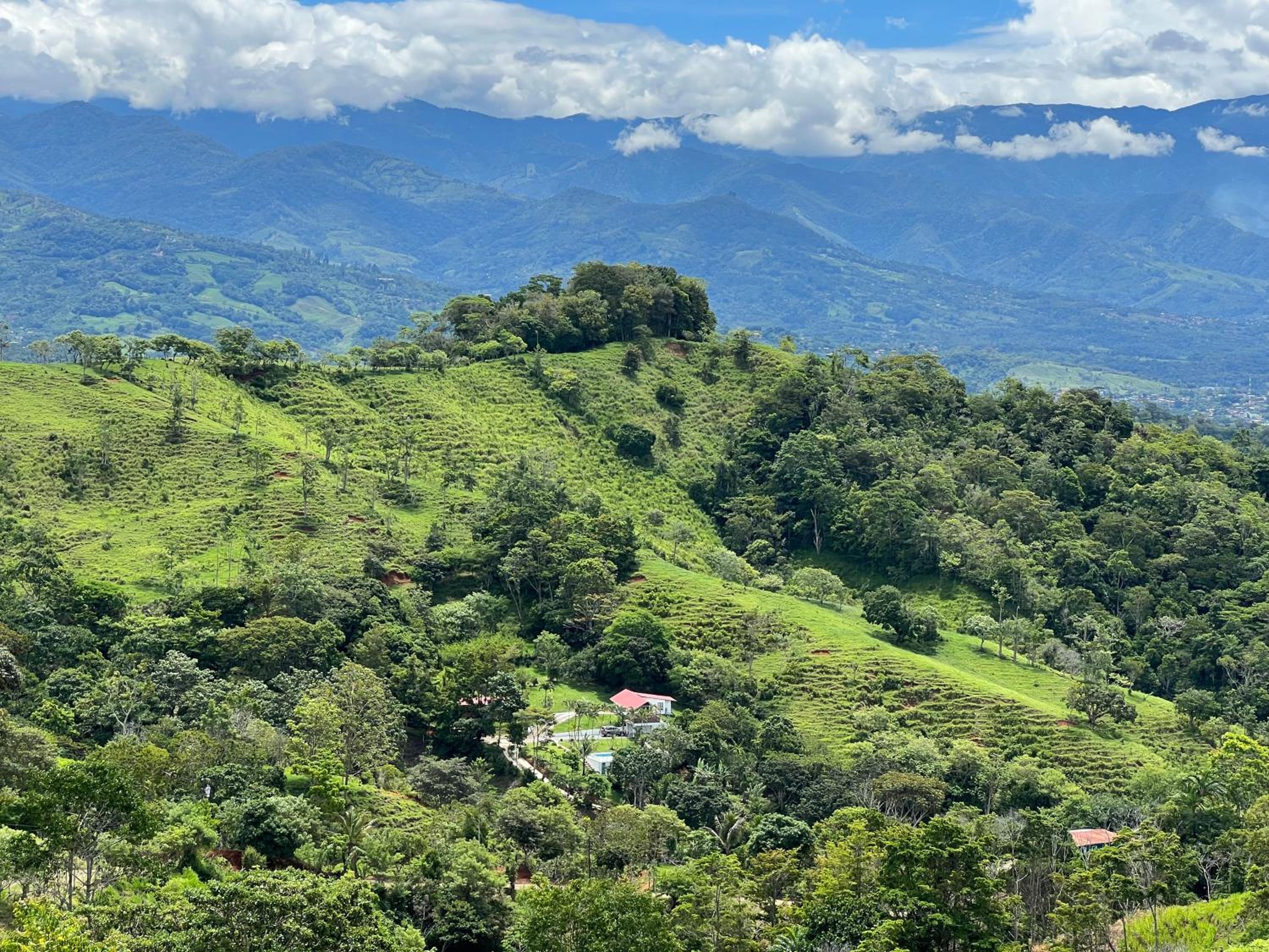 Finca Mango - 40 acre paradise