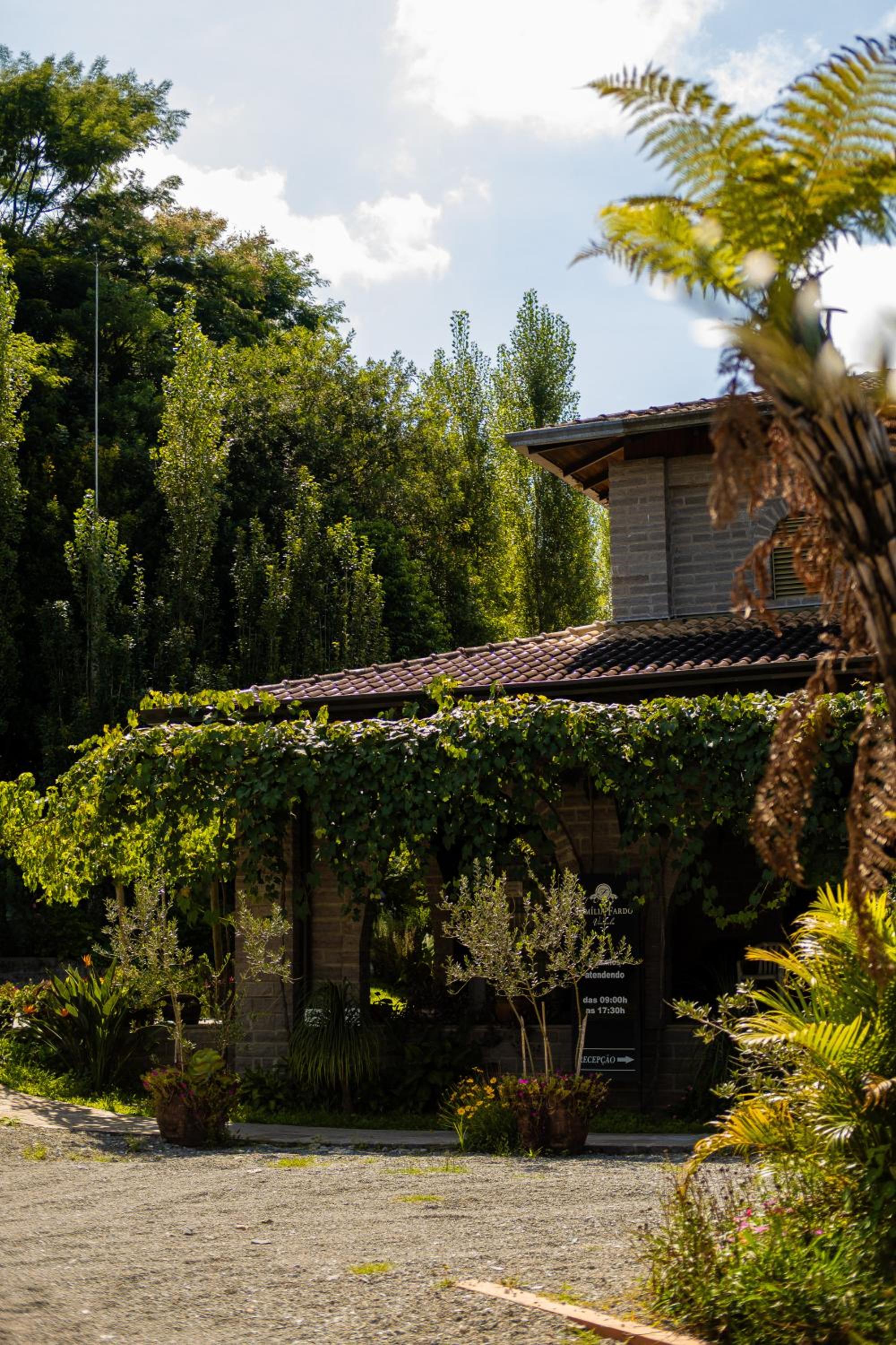 Primo Cabana - Hospedagem na Vinícola