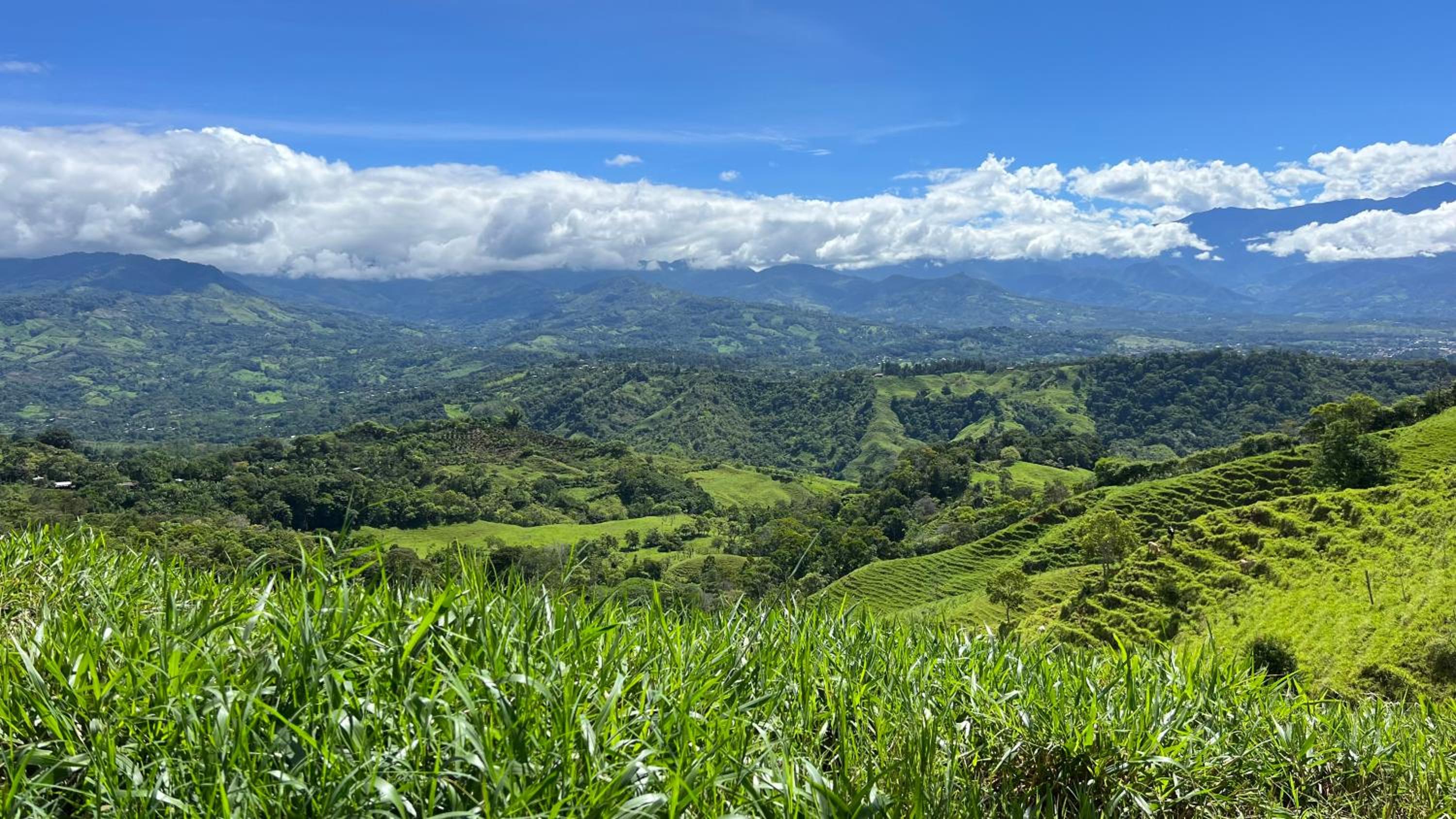 Finca Mango - 40 acre paradise