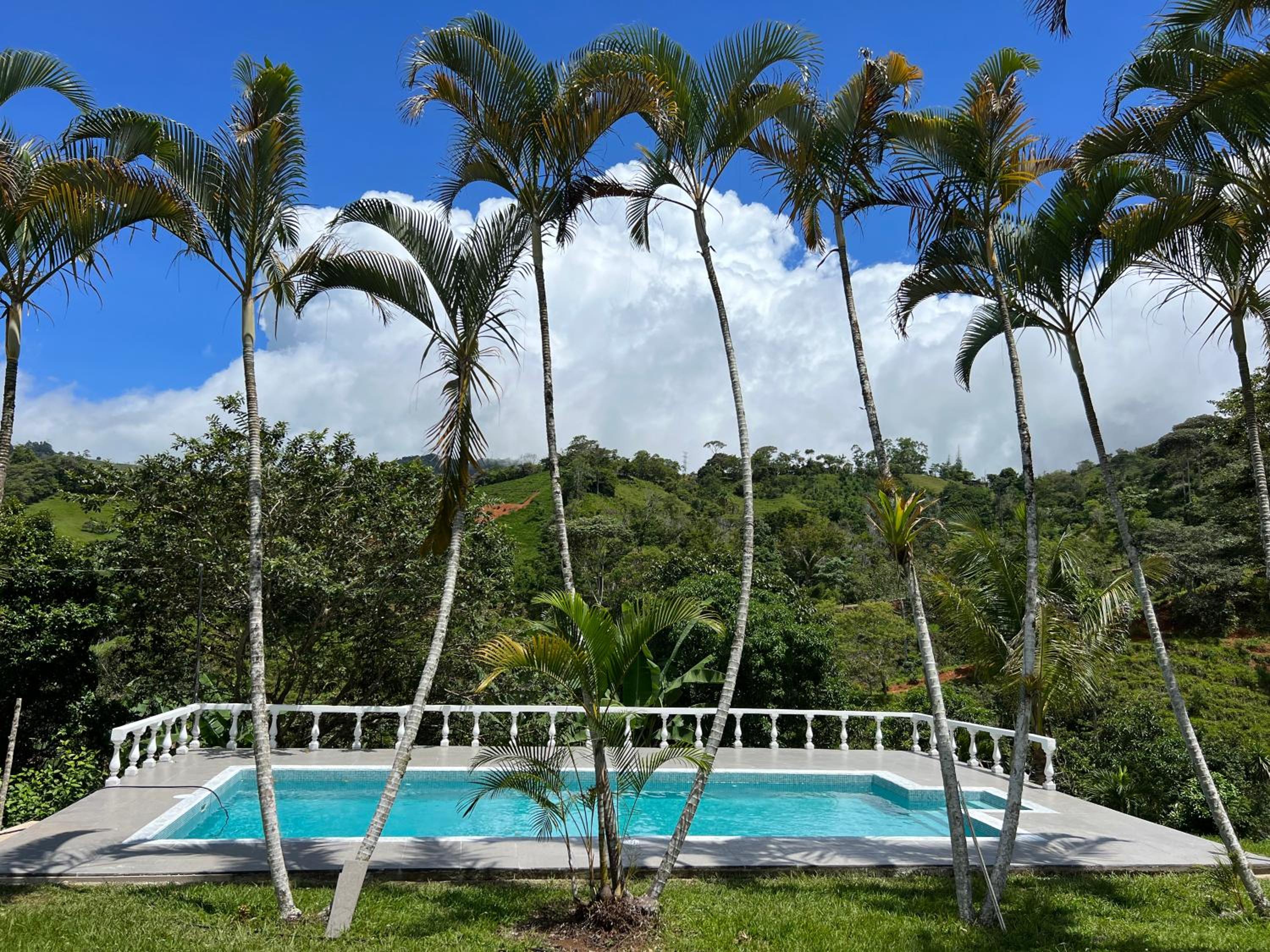 Finca Mango - 40 acre paradise