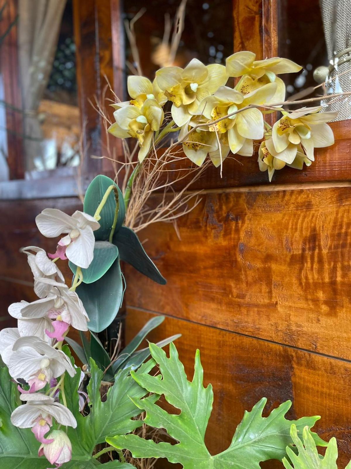 Casa Jardin De Julia view 2