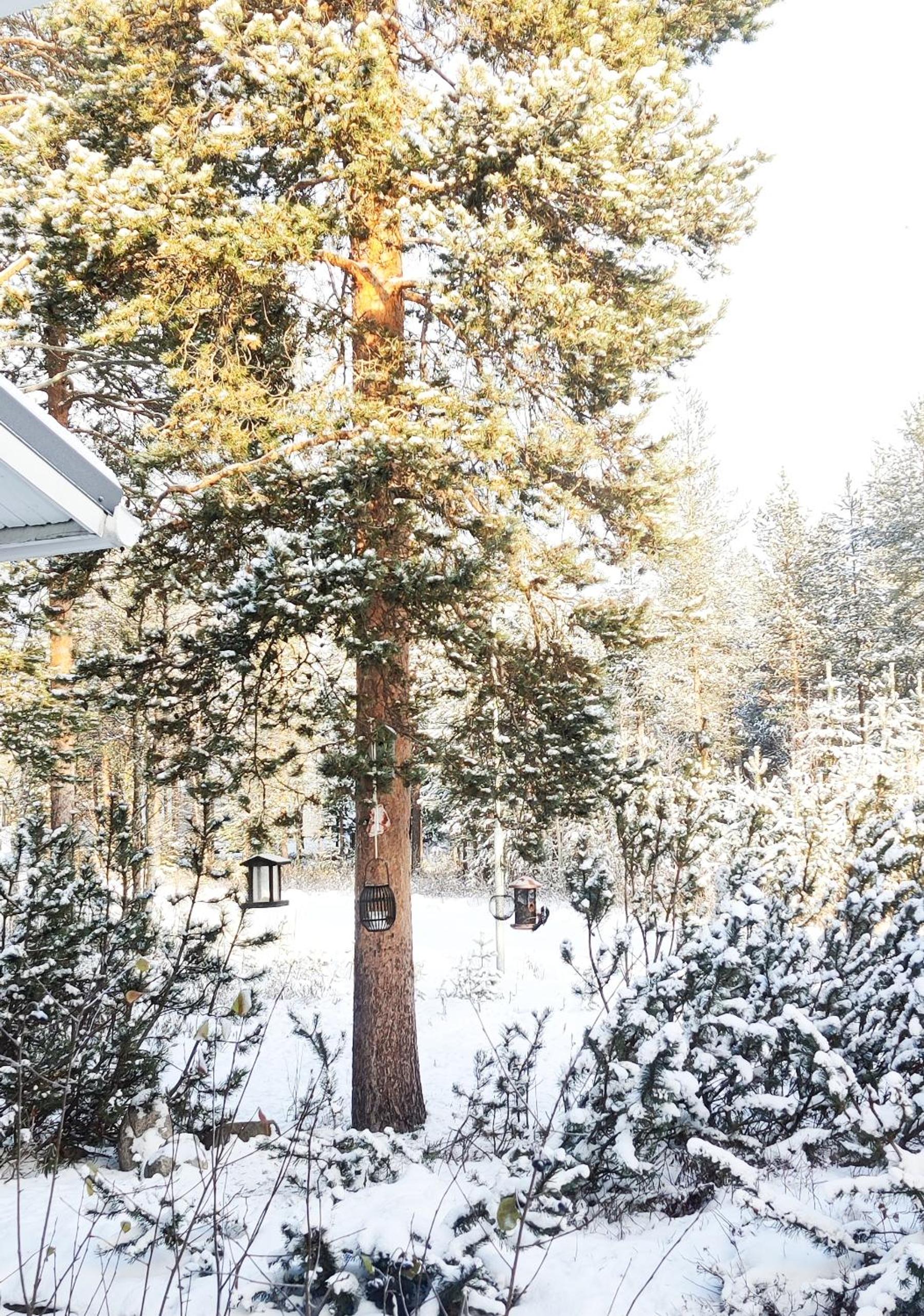 Nordic Villa in Rovaniemi with a Private Sledding Hill, Sauna & Cozy Family Stay