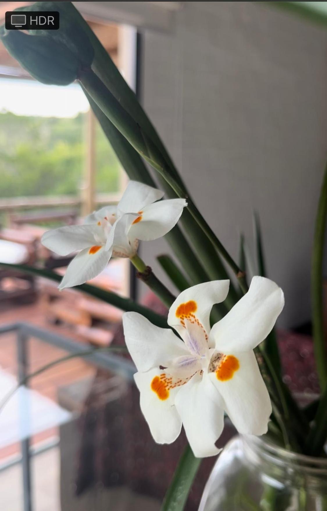 La Luna, casa mágica en sierras! view 5