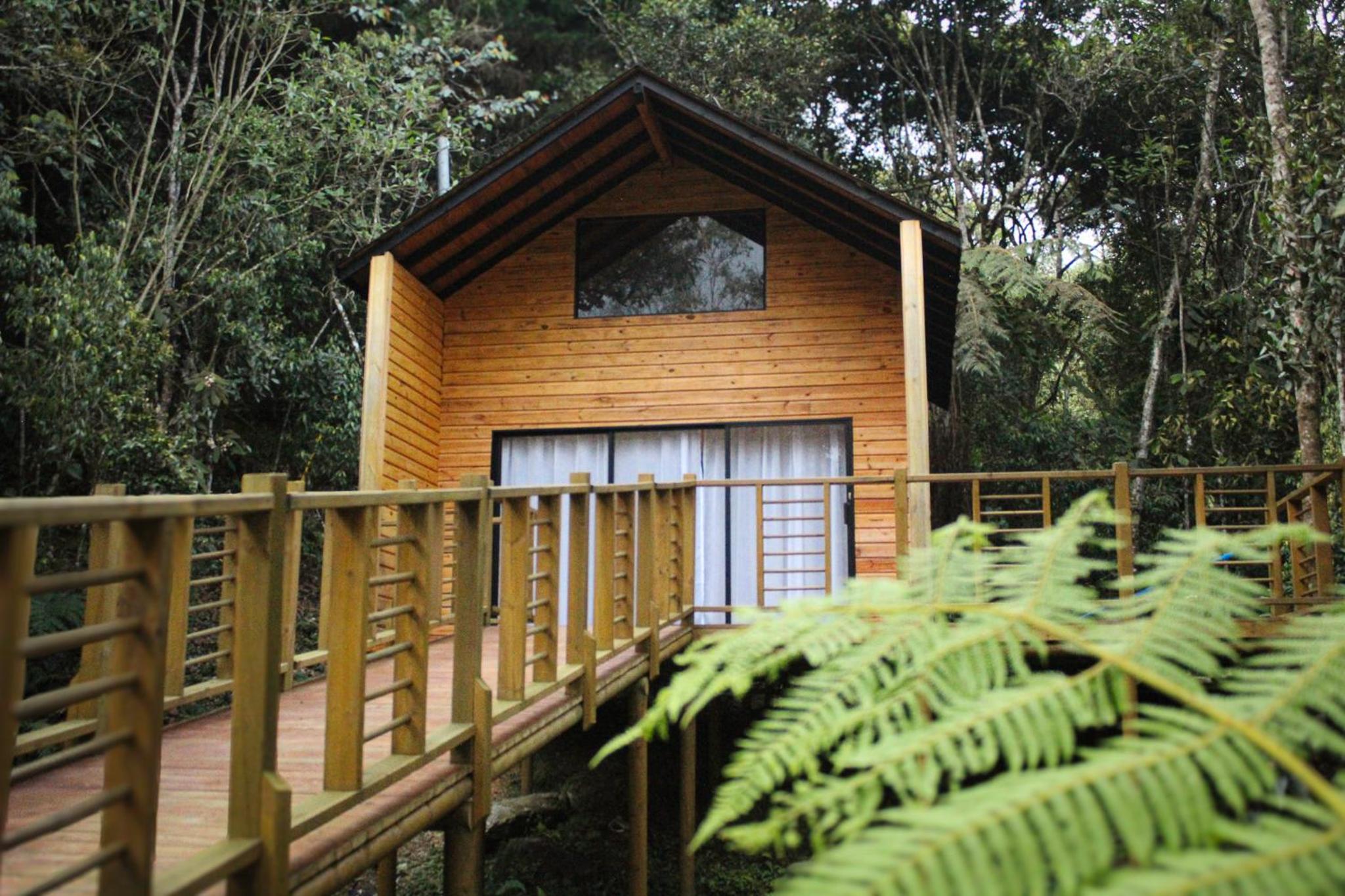Vital Ecohotel Cabañas
