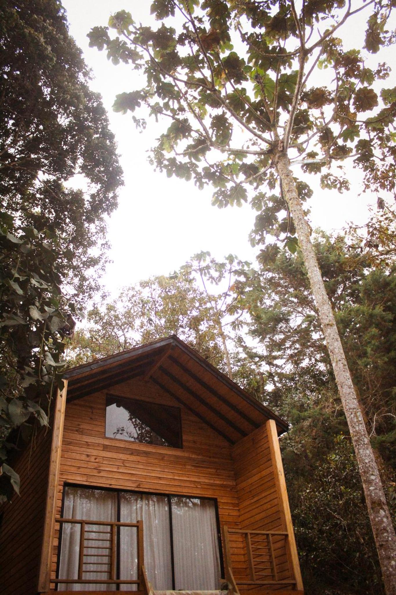 Vital Ecohotel Cabañas