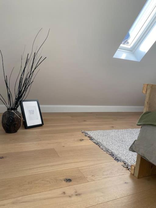 The Conservatory, a cosy holiday home located central between Gent Antwerpen & Brussel
