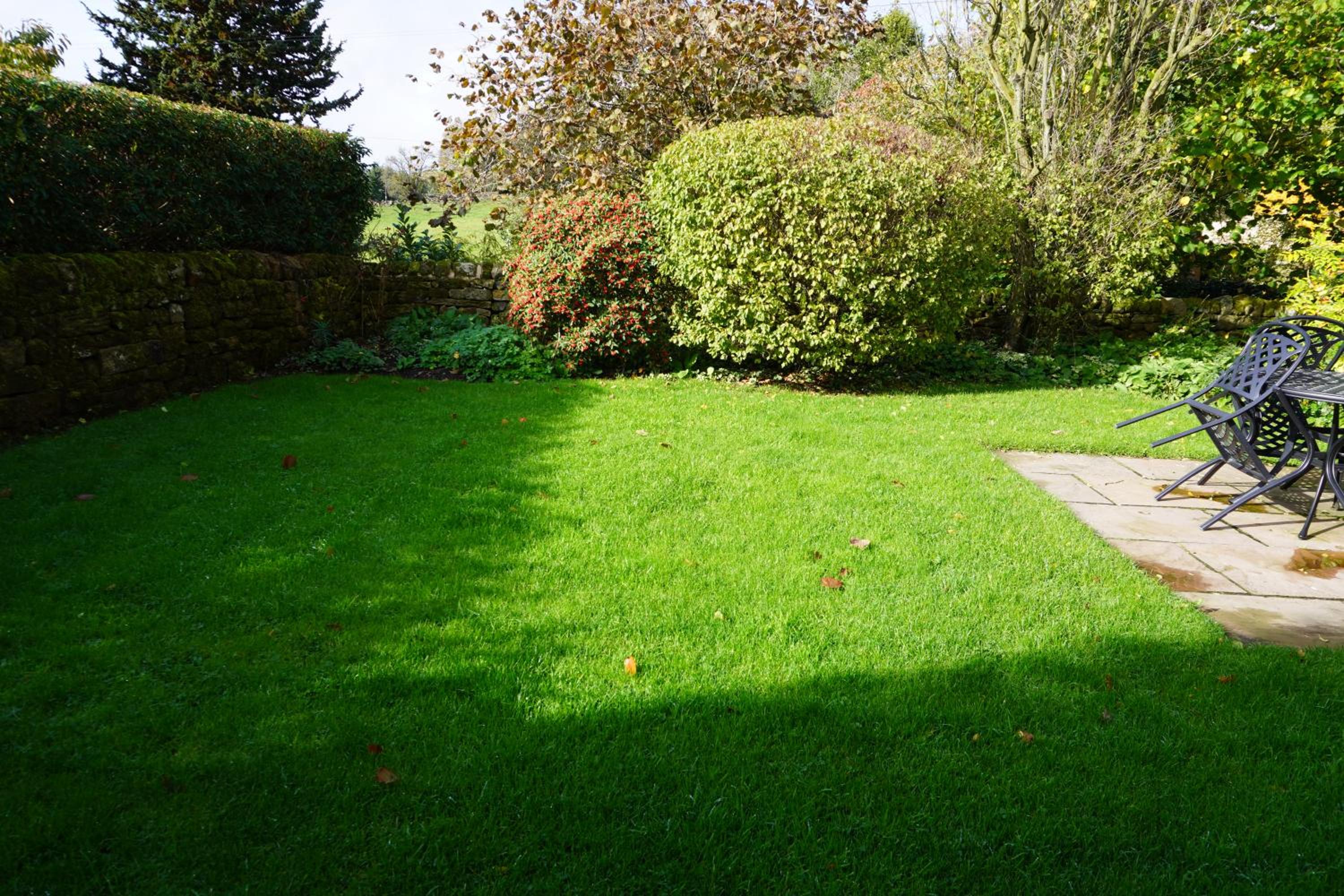 Photo 26