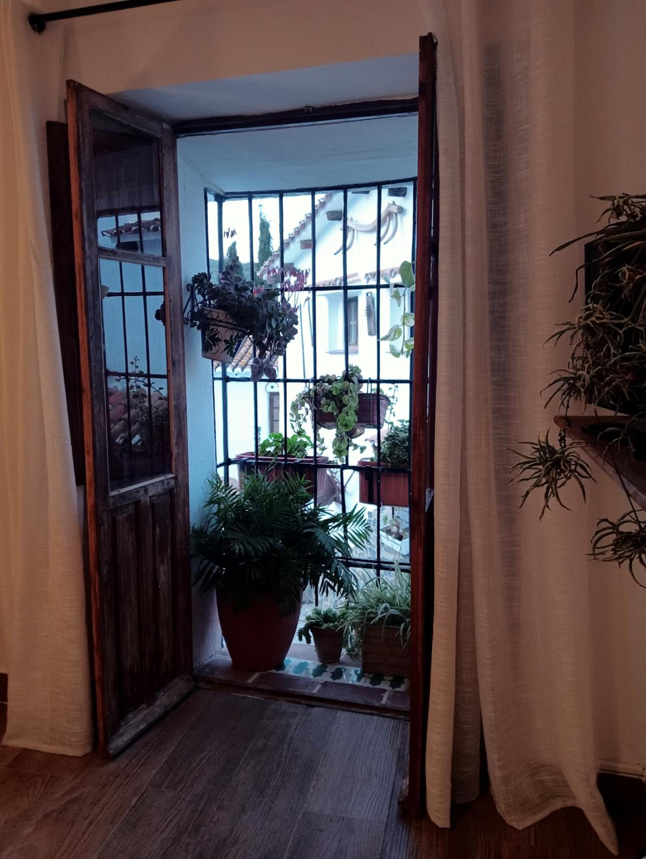 Jardin de Mucho
