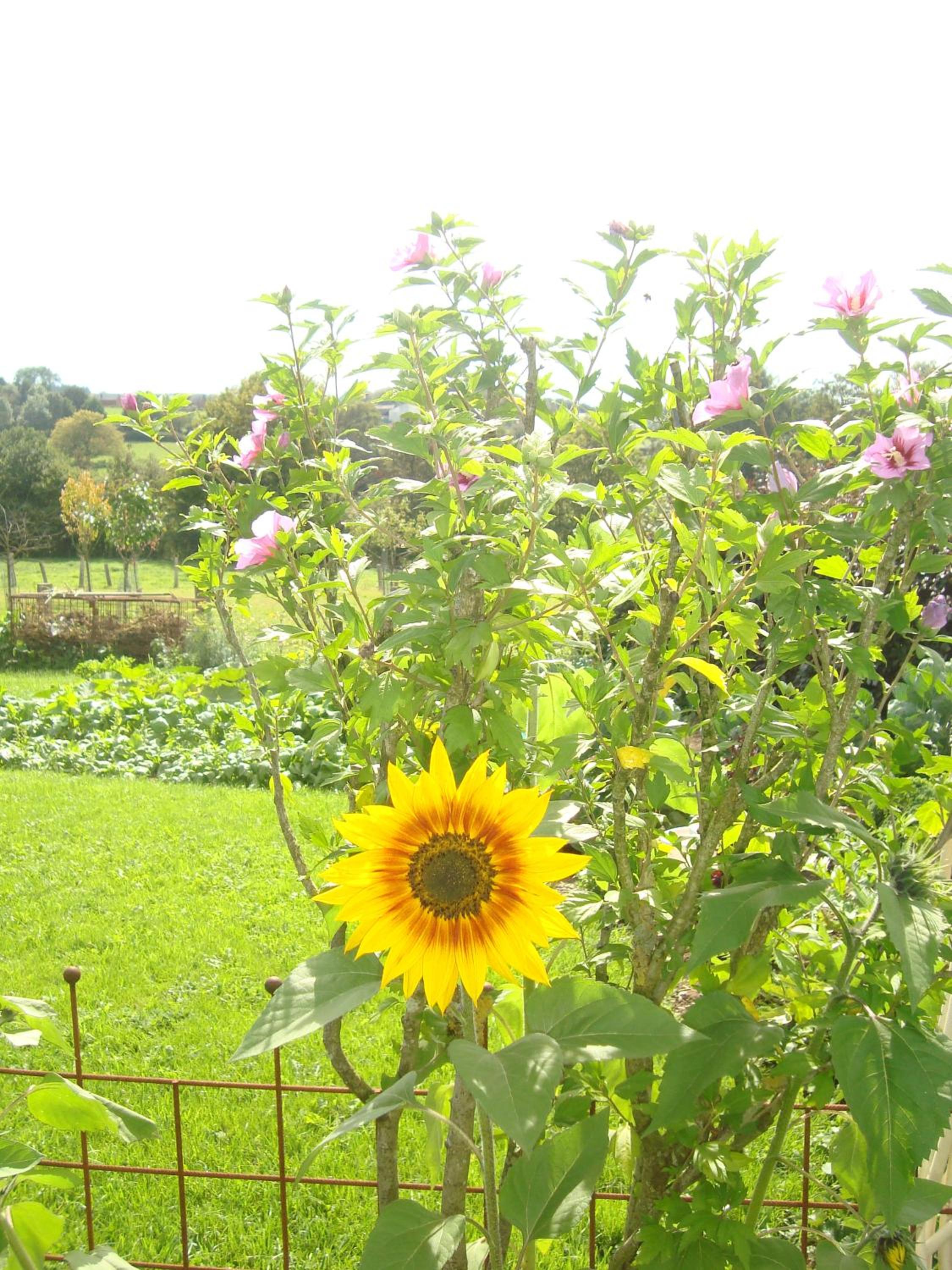B&B Le Perchoir