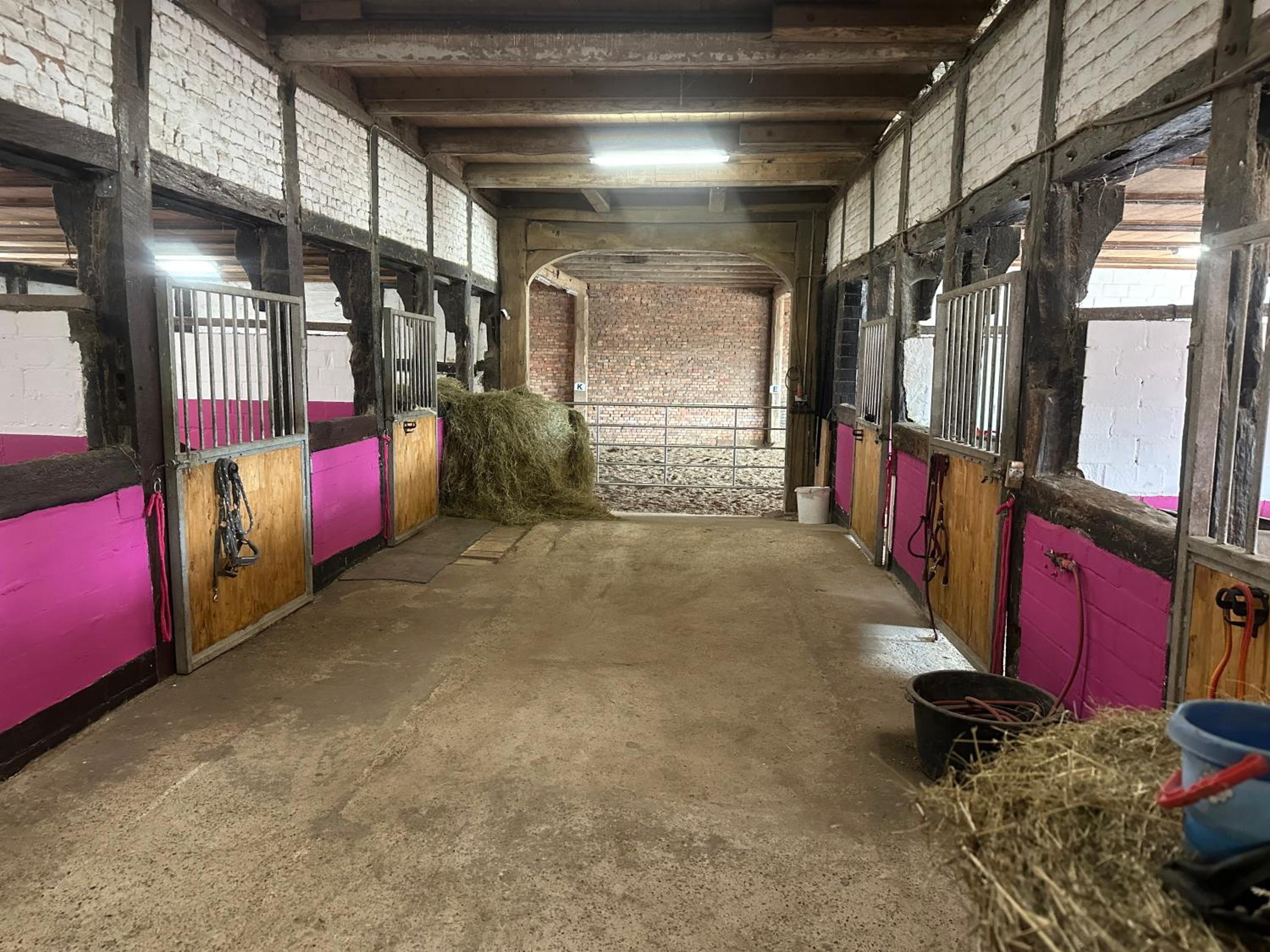 FeWo im Reit- und Ponyparadies Roos